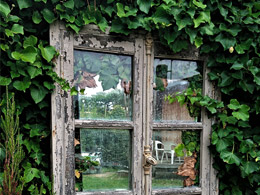 Fenêtre sur jardin